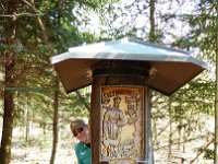 11 Cerisiers en fleurs dans l&#39;Ortenau Mösbach 10 04 2016 107